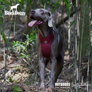 Arnés de Perro Transpirable de Poliéster con Diseño a Cuadros Color Vino Tinto, <span class=keywords><strong>Precio</strong></span> de Fábrica, Sin Tirones, Liberación Rápida, para Pasear Galgos - Product Image 2