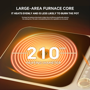 חדש שהושק ב אינדוקציה כיריים אינדוקציה בקרה תנור חשמלי כיריים חשמליים עם האיכות הטובה ביותר עבור הסיטונאי - Product Image 3