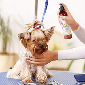 OEM/ODM Eco-Friendly Dog Cologne <strong>Odor</strong> <strong>Eliminator</strong> Aromatherapy Freshening Shampoo <strong>for</strong> Small Animals <strong>Pets</strong> - Product Image 4