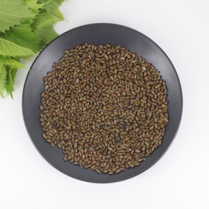 Prezzo all'ingrosso della fabbrica di alta qualità all'ingrosso all'ingrosso cinese erbe tradizionali di <span class=keywords><strong>Cassia</strong></span> Tora semi - Product Image 5