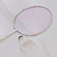 Raquette de badminton professionnelle Dmantis en fibre de carbone, légère, haute tension, pour l'entraînement, avec sac, pour club et utilisation en extérieur