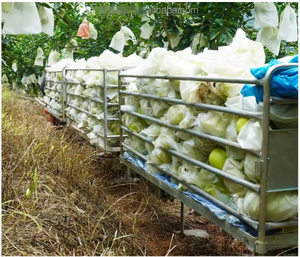 Transportador Monorraíl de Alta Productividad para Huertos y Montañas, Equipo Agrícola - Product Image 3