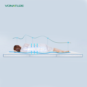 Лучшая цена, перерабатываемый диван разного типа, японский восьмидюймовый матрас-футон - Product Image 3