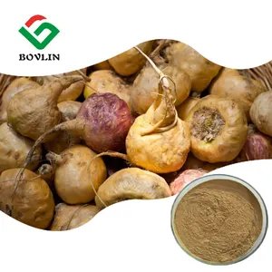 Pure Maca polvere di Maca estratto capsule per l'assistenza sanitaria