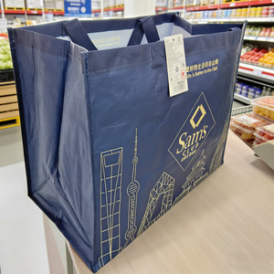 Reusable <b>Folding</b> PP Woven Tote Bag with Custom Logo and <b>Screen</b> Printing for Promotion - Product Image 2