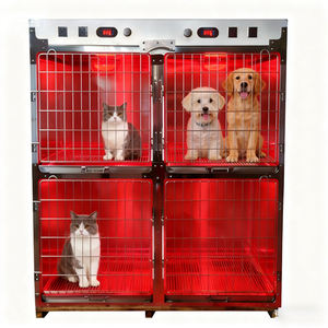 Lámpara de Fisioterapia Infrarroja Osum para Perros y Gatos con LED de Alta Eficiencia y Alimentación por CC para Uso en Hospitales Veterinarios y UCI - Product Image 2