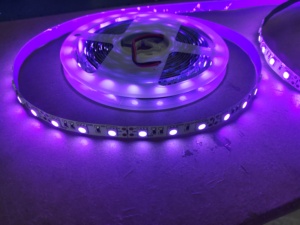 商用新トレンドSMD 2835 IP20/IP65 UVA 390nm-400nmパープルライトストリップTVコンピュータ用背景LEDライトテープ - Product Image 6