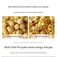 Machine à Popcorn Professionnelle avec Options Gaz/Électrique pour Cinémas et Événements