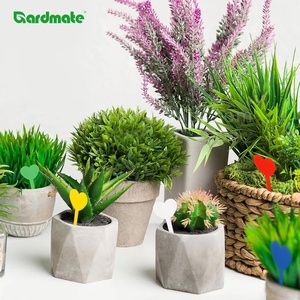Ensemble de 15 <span class=keywords><strong>étiquettes</strong></span> pour plantes, <span class=keywords><strong>étiquettes</strong></span> de jardin colorées en forme de cœur pour les graines d'herbes, les <span class=keywords><strong>semis</strong></span>, les légumes, les fleurs, les <span class=keywords><strong>étiquettes</strong></span> de plantes d'intérieur et d'extérieur - Product Image 1