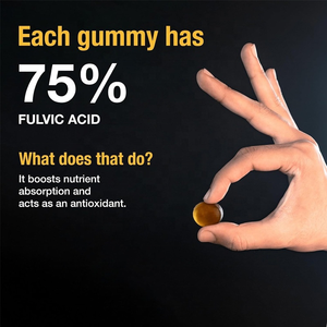 Commande en gros de gommes de Shilajit originales à marque privée, complément nutritionnel pour adultes avec acides fulviques et substances humiques - Product Image 3