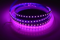 Bande lumineuse LED adressable intelligente pour éclairage d'ambiance IP67 Cuivre CE ROHS 60 LED/m 3 SMD 2835 Flexible Blanc DC 12V Paysage 85