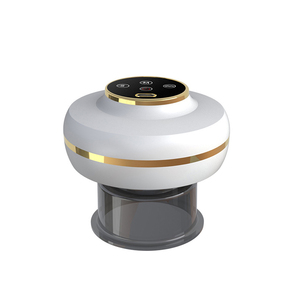 Appareil de perte de poids, médecine traditionnelle chinoise, masseur de genou, soulagement de la douleur, machine à ventouses électrique domestique, marque SG, 5 fonctions - Product Image 4
