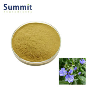 Чистый Травяной Растительный Экстракт обычного цикория/4: 1 ~ 20: 1 экстракт корня суккори/экстракт корня эндайвинга - Product Image 2