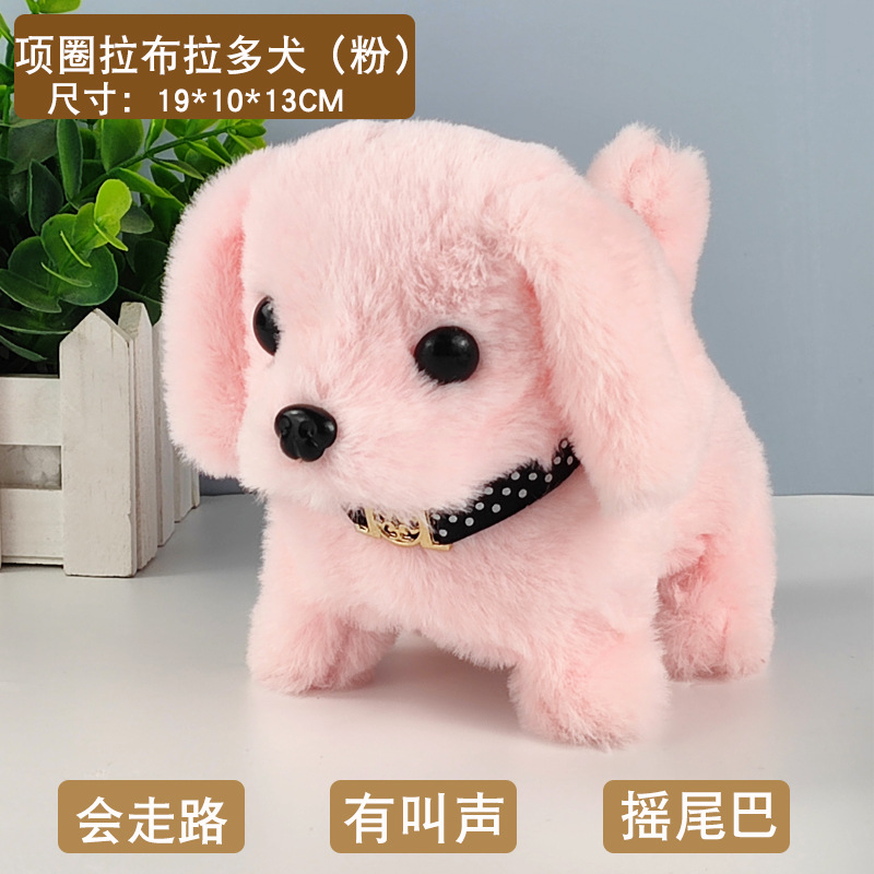 Collar labrador dog powder