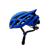 Vente en gros Sécurité VTT Vtt Sports Casque de sécurité Fashinoale Cyclisme Casque de vélo avec coque en PC coloré