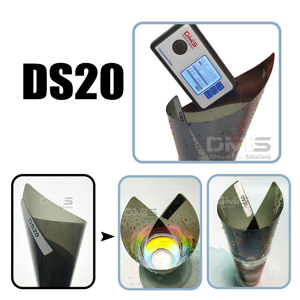 DS-20