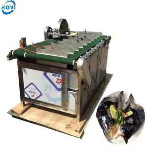 Top quality 304 stainless steel anchovy fresh fish head cutting machine price