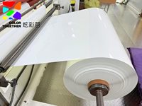Papier synthétique PP de qualité supérieure aux couleurs vives, imperméable et durable, pour applications d'impression éco-solvant