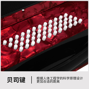 Vente en gros d'<span class=keywords><strong>accordéon</strong></span> de clavier Celluloid HK LADE34 clé 48 bass 5 de haute qualité avec accessoires de sac - Product Image 6