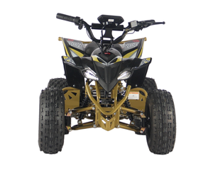 Nuevo ATV 2025 de 500w 2x4 con Certificación CE, Motocicleta Todoterreno de Cuatro Ruedas, Quad, Moto en Venta - Product Image 2