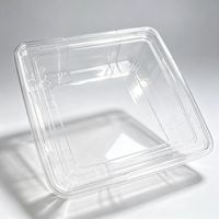 Boîte à pâtisserie carrée en plastique transparent avec couvercle, récipient alimentaire jetable transparent pour pâtisserie maison, biscuits, collations, desserts