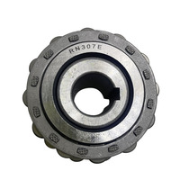 Bearing Roller Eksentrik RN309E-Y11, Reducer Bearing Roller Silindris RN309