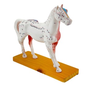 Modèle d'acupuncture équine, modèle de cheval, modèle d'anatomie animale, modèle des points d'acupuncture du cheval, modèle pédagogique vétérinaire - Product Image 2