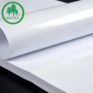 Rouleau de papier de qualité supérieure à haute résistance à l'humidité pour l'emballage alimentaire, haute résistance à l'eau - Product Image 3