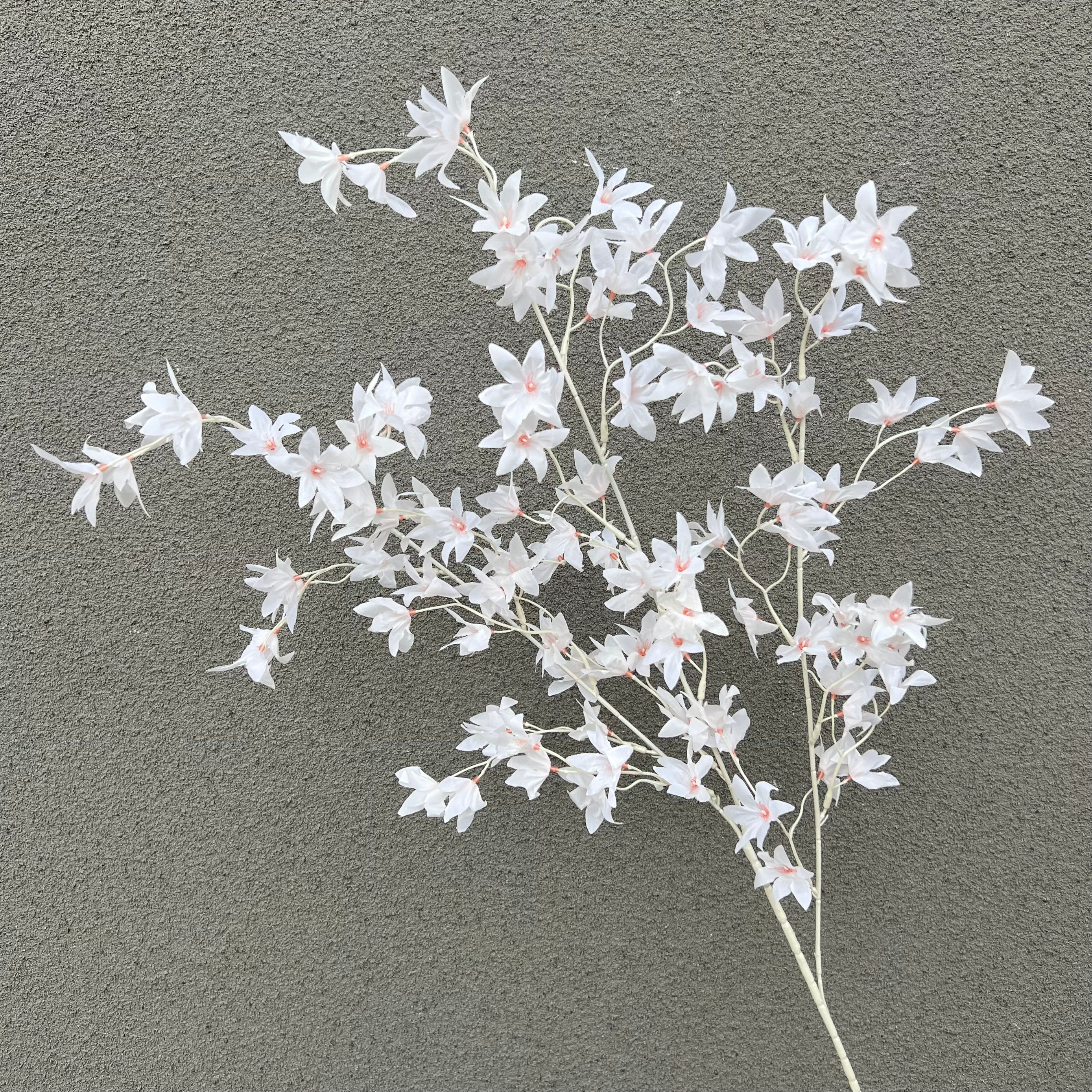 White white stem Oncidium