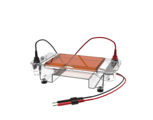 جهاز فحص الحمض النووي الحيوي الحيوي/S03 + جهاز فحص كهربية للهلام الأفقي من البلاستيك للكشف عن الحمض النووي بأفضل سعر - Product Image 3