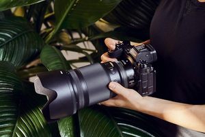 NIKKOR Z 50mm F/1.2 S Professional Full-<b>Frame</b> Extra-<b>Large</b> Aperture Prime Lens for Mirrorless | Made in China Model 20095 - Product Image 6