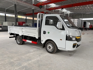 Camionnette de transport de marchandises Dongfeng 3 tonnes, économique, diesel et essence, pour le transport de marchandises agricoles et de vergers. - Product Image 3