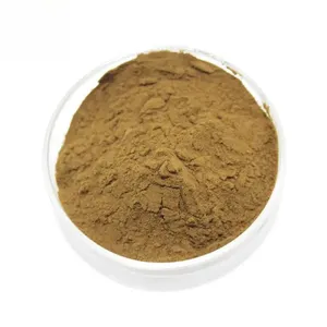 Water Soluble Pure Spearmint Extract Peppermint Extract Powder
