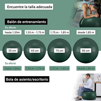 EIGFOH Balón de Yoga Profesional de Alta Calidad, Resistente a Roturas, Modelo Yoga Ball-1 para Fitness y Fisioterapia