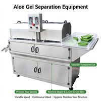 Machine à peler l'aloe vera de qualité industrielle, machine à laver et à peler l'aloe vera