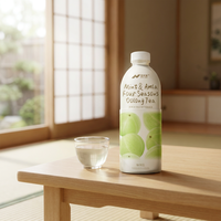 Nihewan Mint & Amla Vier Seizoenen Oolong Thee HORECA OEM ODM Retailverpakking Drank Exporteur