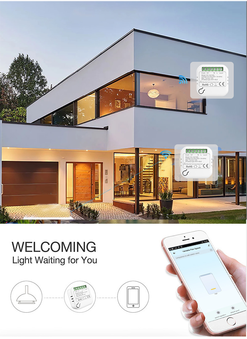 MINI Smart Switch