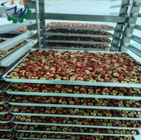 Vacuümvriesdroger Hoogwaardige Vriesdroogapparatuur Voor Fruit, Groente, Melk, Koffie, Snoep, Fastfood