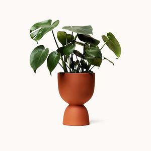 <span class=keywords><strong>Pot</strong></span> <span class=keywords><strong>de</strong></span> fleurs en céramique avec plateau, <span class=keywords><strong>support</strong></span> <span class=keywords><strong>de</strong></span> téléphone portable, <span class=keywords><strong>pot</strong></span> <span class=keywords><strong>de</strong></span> fleurs en <span class=keywords><strong>terre</strong></span> <span class=keywords><strong>cuite</strong></span> empilable pour bureau - Product Image 5