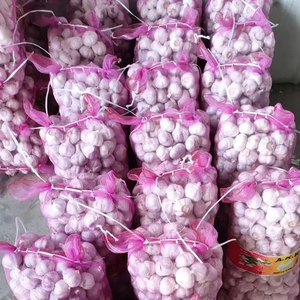 Nuevo Ajo Blanco Puro y Ajo Blanco Regular Lanzado en 2026, Suministrado por Exportadores Profesionales de Ajo Chino - Product Image 1