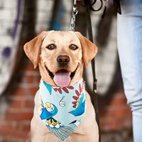 Bandana en forme de Triangle pour chien, Bandana, personnalisé, à motifs colorés, vente en gros