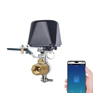 Водяной клапан Tuya Smart Zigbee, газовый клапан, Wi-Fi, совместимый с контроллером Alexa Google Home