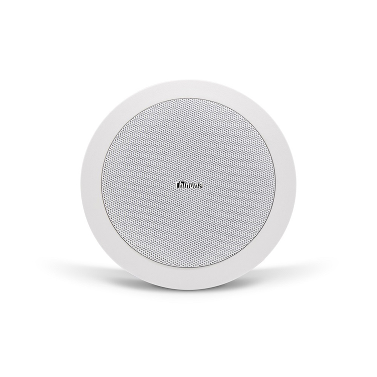 surface ceiling speaker