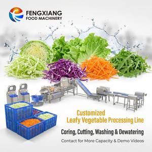 Machine de découpe, lavage et séchage de choux Fengxiang 2000 kg/h en acier inoxydable SUS304 – Ligne de traitement de légumes frais coupés - Product Image 1