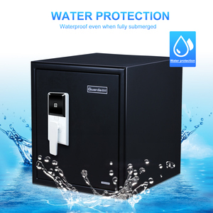 Guarda Hộp An Toàn Hình Đại Bàng 80Kg An Toàn Sinh Trắc Học Caja Fuerte Chống Cháy An Toàn Chống Nước 2 Giờ Chống Cháy An Toàn Bán Hàng - Product Image 2