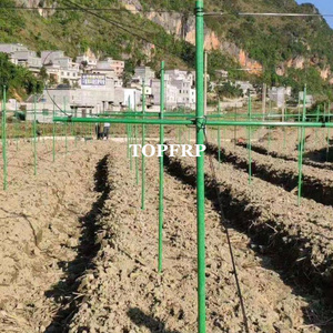 Estaca de Soporte para Plantas Personalizable, Tubo Redondo Pultruido de FRP, Postes de Fibra de Vidrio para Árboles de Huerto - Product Image 5