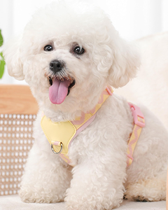 Custom Wholesale High-quality Fashion Luxury Back Nylon Design Chest Strap Lightweight Breathable Adjustable Dog <b>Harness</b> Outdoor - Product Image 2