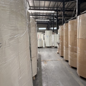 Rouleau de fond de gobelet en papier enduit de PE GSM personnalisé et respectueux de l'environnement pour base de gobelet à café ou à thé compostable - Product Image 4