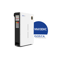 Batteries au lithium intelligentes GOSTA WM100HC pour stockage en entrepôt, LiFePO4 200AH 10KWH 51.2V, montage mural, remplacement des batteries au plomb-acide