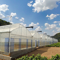Vente chaude Serre agricole multi-spans sur mesure de grande taille Matériaux de haute qualité PEP galvanisés à chaud Film plastique vert